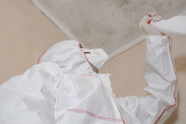 Best Toxic Mold Removal  in Eagle Point, AL