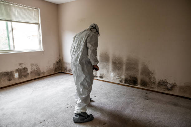 Best Residential Mold Removal  in Eagle Point, AL