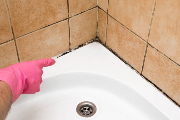 Best Mold Testing  in Eagle Point, AL